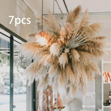 Maxbell Long Dried Pampas Grass Decor for Vase Fluffy bouquet Arrangement
