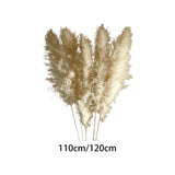 Maxbell Long Dried Pampas Grass Decor for Vase Fluffy bouquet Arrangement