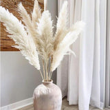 Maxbell Long Dried Pampas Grass Decor for Vase Fluffy bouquet Arrangement