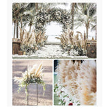 Maxbell Long Dried Pampas Grass Decor for Vase Fluffy bouquet Arrangement