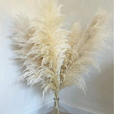 Maxbell Long Dried Pampas Grass Decor for Vase Fluffy bouquet Arrangement