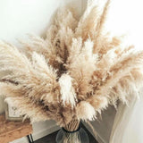 Maxbell Long Dried Pampas Grass Decor for Vase Fluffy bouquet Arrangement