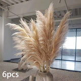 Maxbell Long Dried Pampas Grass Decor for Vase Fluffy bouquet Arrangement