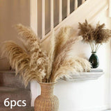 Maxbell Long Dried Pampas Grass Decor for Vase Fluffy bouquet Arrangement