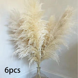 Maxbell Long Dried Pampas Grass Decor for Vase Fluffy bouquet Arrangement