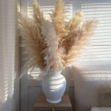 Maxbell Long Dried Pampas Grass Decor for Vase Fluffy bouquet Arrangement