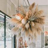 Maxbell Long Dried Pampas Grass Decor for Vase Fluffy bouquet Arrangement