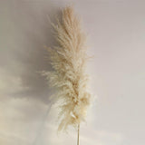 Maxbell Long Dried Pampas Grass Decor for Vase Fluffy bouquet Arrangement