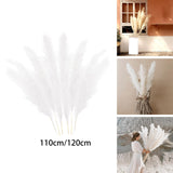 Maxbell White Dried Pampas Grass Natural Dried for Party Wedding Decor Vase 7pcs Small