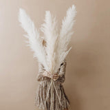 Maxbell White Dried Pampas Grass Natural Dried for Party Wedding Decor Vase 7pcs Small