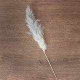 Maxbell White Dried Pampas Grass Natural Dried for Party Wedding Decor Vase 7pcs Small