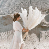 Maxbell White Dried Pampas Grass Natural Dried for Party Wedding Decor Vase 7pcs Small