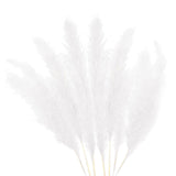 Maxbell White Dried Pampas Grass Natural Dried for Party Wedding Decor Vase 7pcs Small