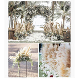 Maxbell White Dried Pampas Grass Natural Dried for Party Wedding Decor Vase 7pcs Small