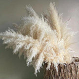Maxbell White Dried Pampas Grass Natural Dried for Party Wedding Decor Vase 7pcs Small