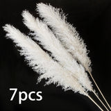 Maxbell White Dried Pampas Grass Natural Dried for Party Wedding Decor Vase 7pcs Small