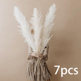 Maxbell White Dried Pampas Grass Natural Dried for Party Wedding Decor Vase 7pcs Small