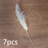 Maxbell White Dried Pampas Grass Natural Dried for Party Wedding Decor Vase 7pcs Small