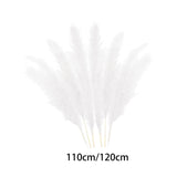 Maxbell White Dried Pampas Grass Natural Dried for Party Wedding Decor Vase 7pcs Small