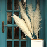 Maxbell White Dried Pampas Grass Natural Dried for Party Wedding Decor Vase 6pcs Large