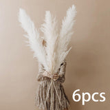 Maxbell White Dried Pampas Grass Natural Dried for Party Wedding Decor Vase 6pcs Large