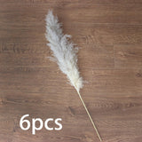 Maxbell White Dried Pampas Grass Natural Dried for Party Wedding Decor Vase 6pcs Large