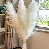 Maxbell White Dried Pampas Grass Natural Dried for Party Wedding Decor Vase 6pcs Large