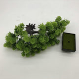 Maxbell Artificial Bonsai Tree Simulation Bonsai Potted for Windowsill Bedroom Table