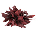 Maxbell 4x Persian Artificial Fern Leaves Plant Shrubs for Garden Office Engagement Red
