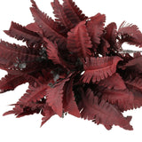 Maxbell 4x Persian Artificial Fern Leaves Plant Shrubs for Garden Office Engagement Red
