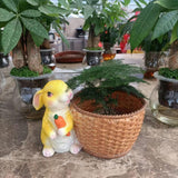 Maxbell Bunny Rabbit Statue Flower Pot Spring Figurine Decor garden Green