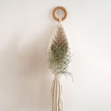 Maxbell Hanging Basket Pastoral Durable Holder Stand Hanger for Restaurant Balcony