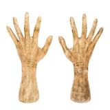 Maxbell Hand Shaped Scene Props Organiser Halloween Decoration for Living Room Right Hand