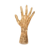 Maxbell Hand Shaped Scene Props Organiser Halloween Decoration for Living Room Right Hand