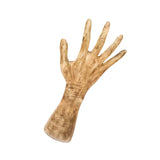 Maxbell Hand Shaped Scene Props Organiser Halloween Decoration for Living Room Right Hand
