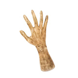 Maxbell Hand Shaped Scene Props Organiser Halloween Decoration for Living Room Right Hand