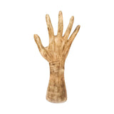 Maxbell Hand Shaped Scene Props Organiser Halloween Decoration for Living Room Right Hand
