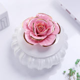 Maxbell Round Ceramic Jar Lidded Storage Necklace Keepsake Jewelry Box Pink