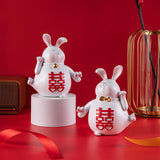 Maxbell Creative Couple Rabbit Figurine Wedding Gifts for Shelf Home Decoration