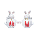 Maxbell Creative Couple Rabbit Figurine Wedding Gifts for Shelf Home Decoration