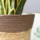 Maxbell Straw Planter Basket with Liners Plant Containers for Grocery M