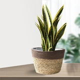 Maxbell Straw Planter Basket with Liners Plant Containers for Grocery M