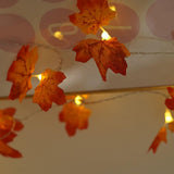 Maxbell Fall Decoration Easy Installation String Lights for Autumn Harvest Shops 3m Battery