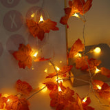 Maxbell Fall Decoration Easy Installation String Lights for Autumn Harvest Shops 1.5m USB