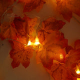 Maxbell Fall Decoration Easy Installation String Lights for Autumn Harvest Shops 1.5m USB