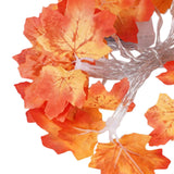 Maxbell Fall Decoration Easy Installation String Lights for Autumn Harvest Shops 3m USB