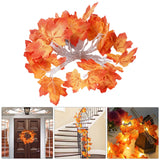 Maxbell Fall Decoration Easy Installation String Lights for Autumn Harvest Shops 3m USB