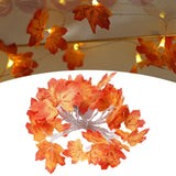 Maxbell Fall Decoration Easy Installation String Lights for Autumn Harvest Shops 3m USB