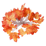 Maxbell Fall Decoration Easy Installation String Lights for Autumn Harvest Shops 3m USB