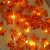 Maxbell Fall Decoration Easy Installation String Lights for Autumn Harvest Shops 3m USB